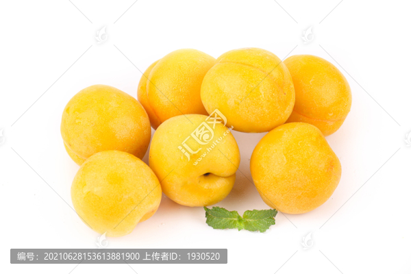 杏子