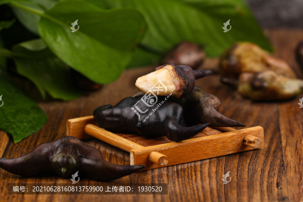 粉菱角