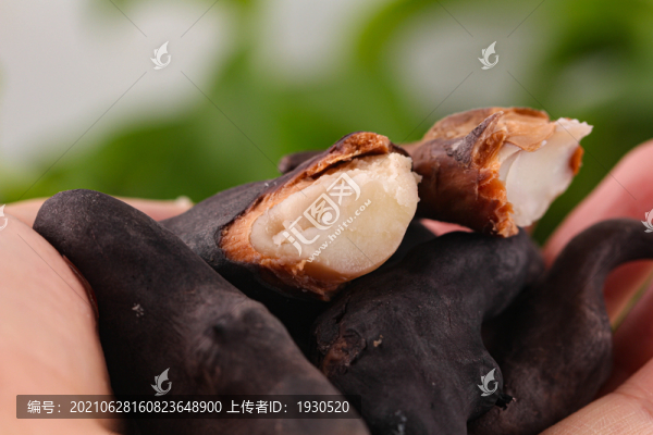 洪湖菱角
