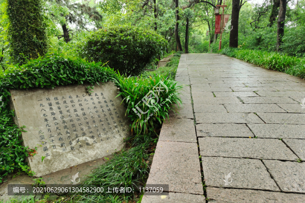 鎮(zhèn)江北固山龍埂