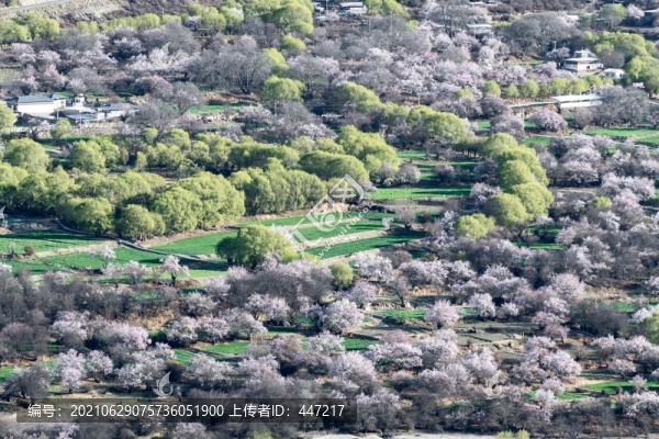雅魯藏布江大峽谷