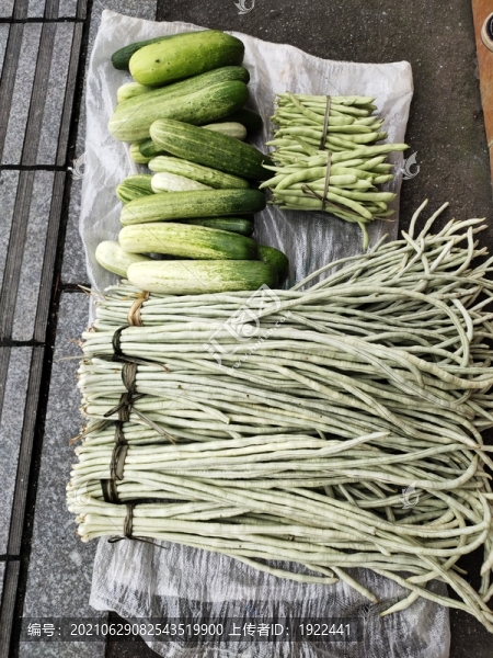 新鮮蔬菜