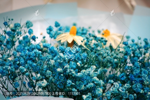 縷絲花