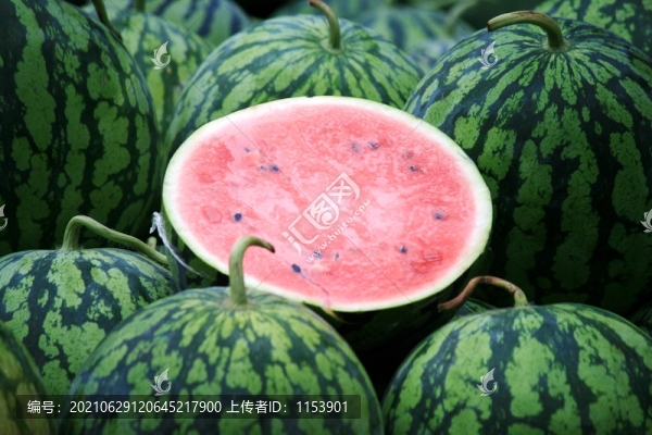 冰糖瓜