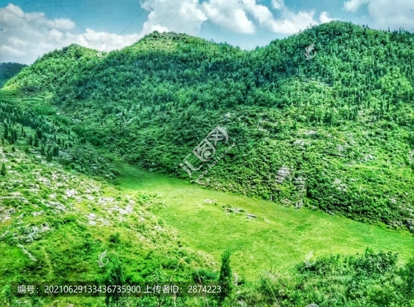 青山綠地