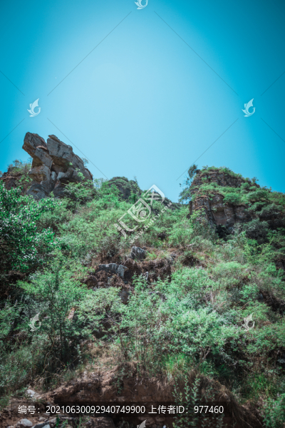 山頭