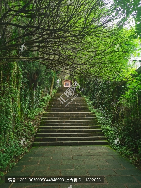 公園臺(tái)階
