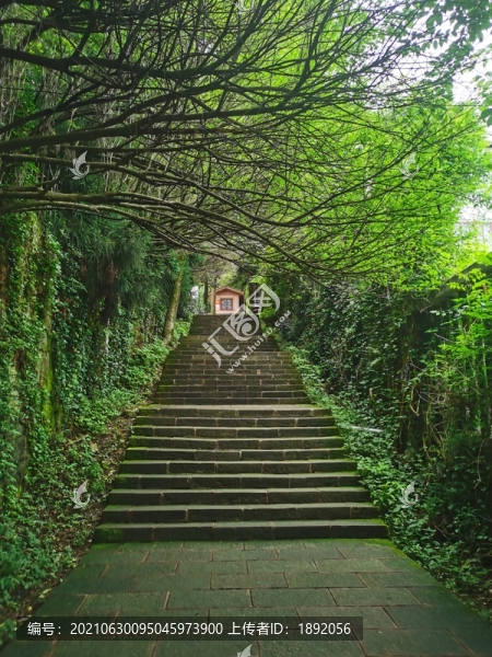 公園