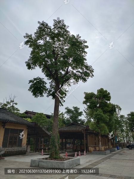 園林綠化