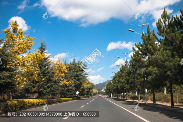 云南騰沖銀杏村