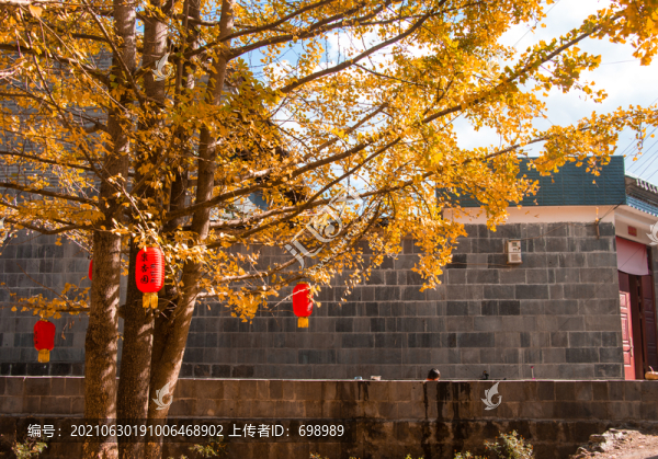 云南騰沖銀杏村