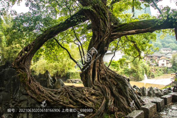 黃姚古鎮(zhèn)