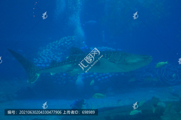 長隆海洋王國