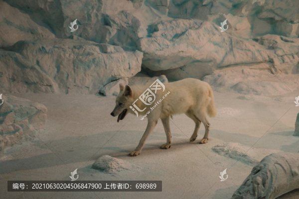 長(zhǎng)隆海洋王國(guó)