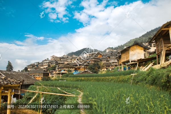 貴州加榜梯田