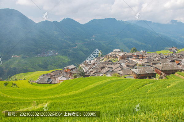 貴州加榜梯田