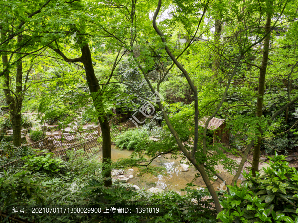 蘇州虎丘山養(yǎng)鶴澗
