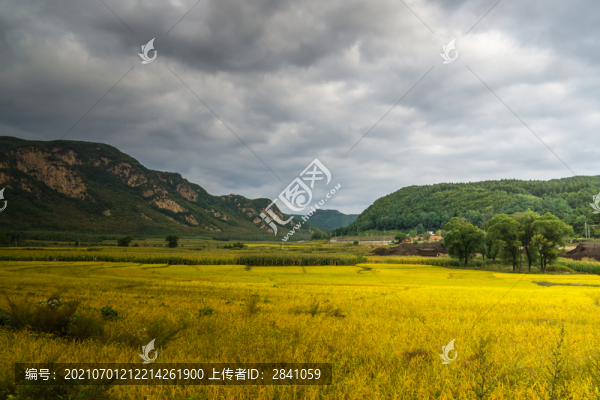 秋季山腳下的田野