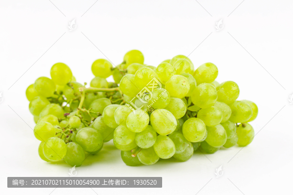 青葡萄