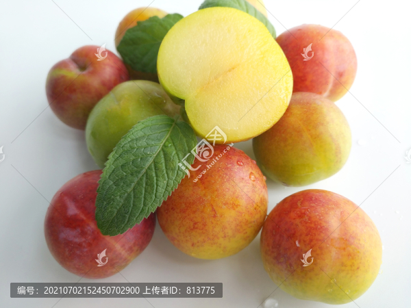 特產(chǎn)鮮果李子