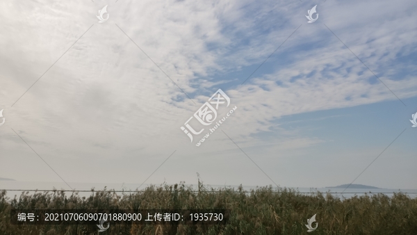 上午岸邊