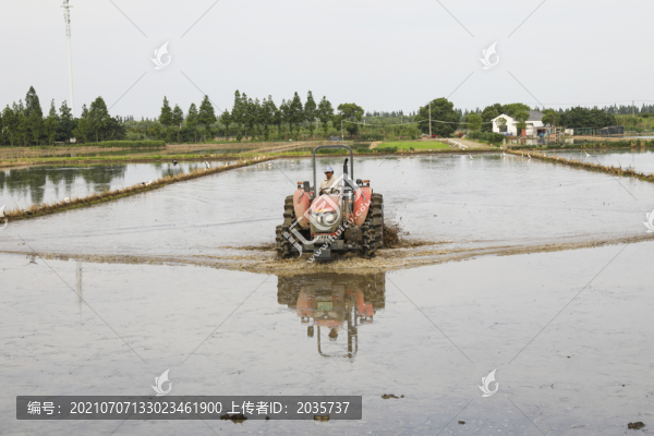 在水稻田里工作的拖拉機