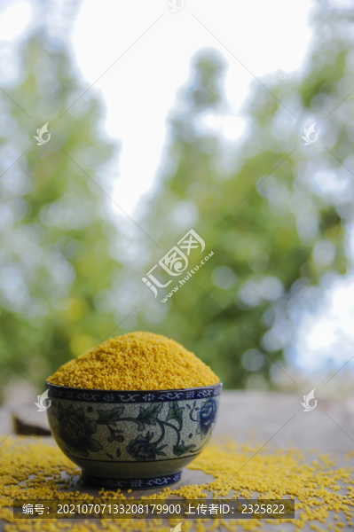 黃小米