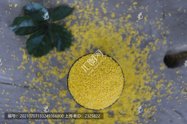黃小米