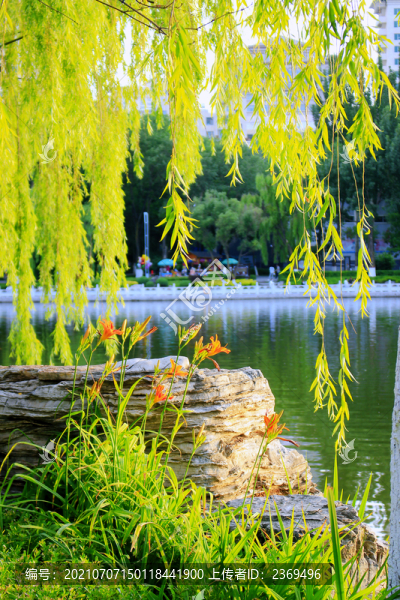 公園一角