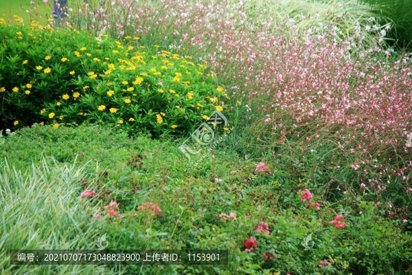 生態(tài)公園