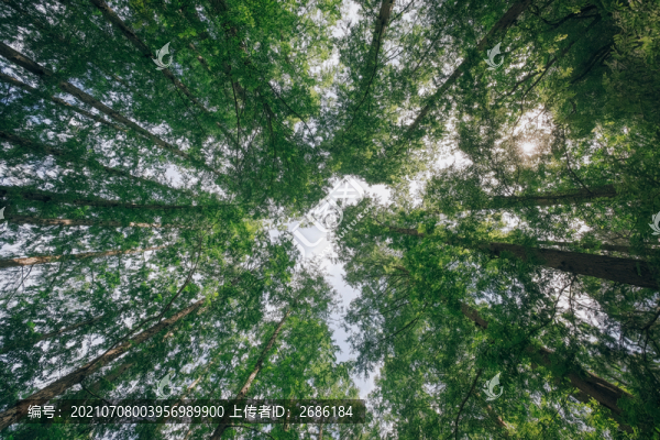 北京植物園