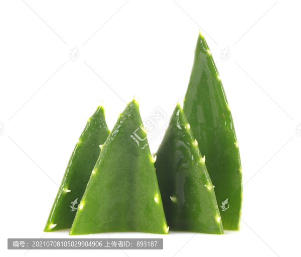 蘆薈