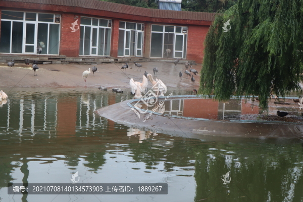 動物園