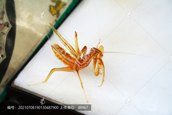 天津糖畫