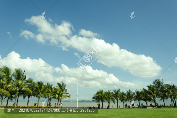 深圳灣公園