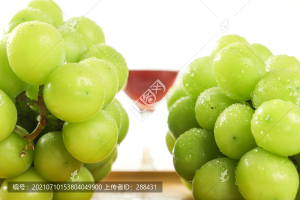 葡萄