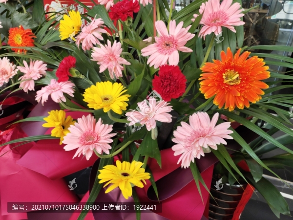 非洲菊開業(yè)花籃