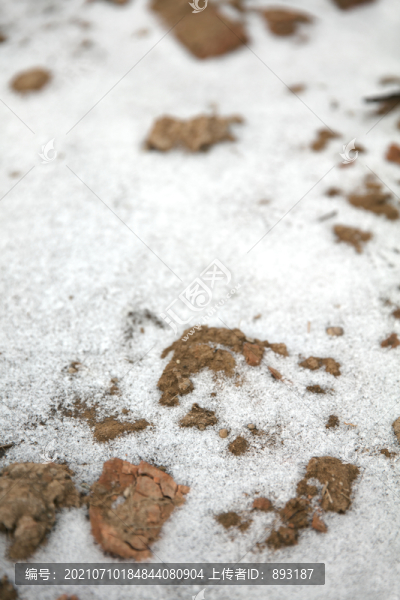 土地上遺留的殘雪
