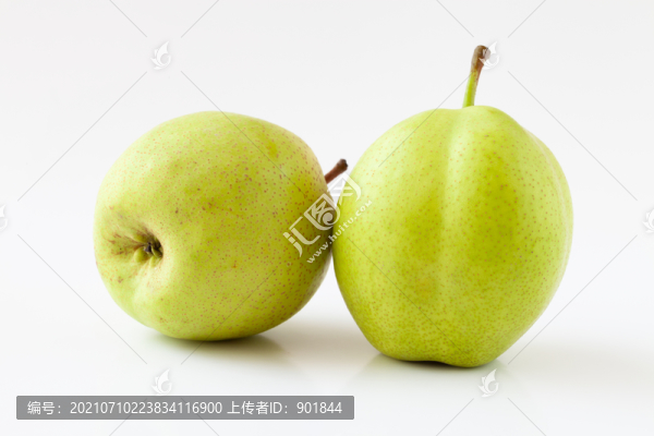 白背景上的早酥梨