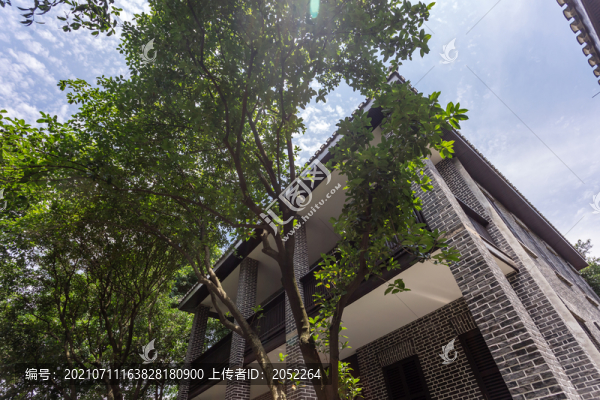 重慶桂圓