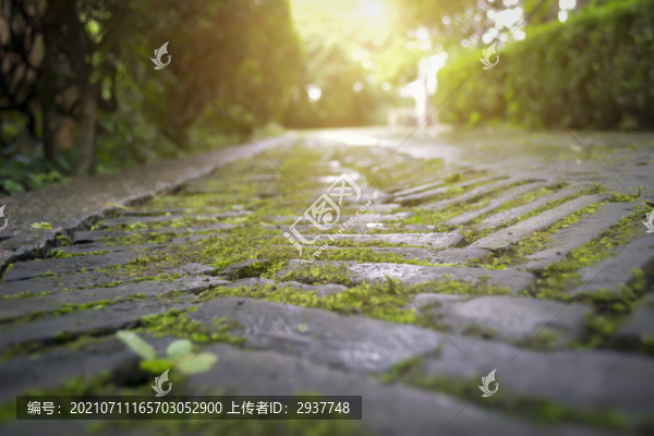 午后的石板路