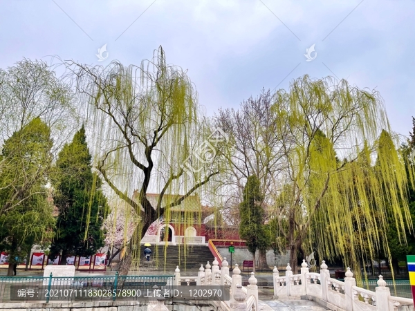北海公園