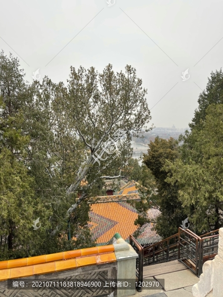 北海公園