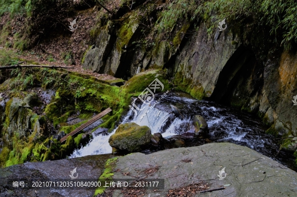 湖北神農(nóng)架