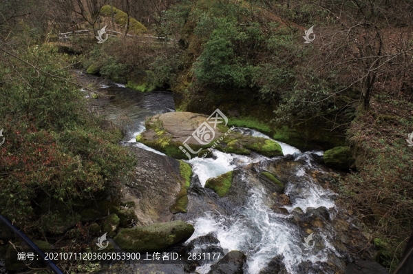 湖北神農(nóng)架