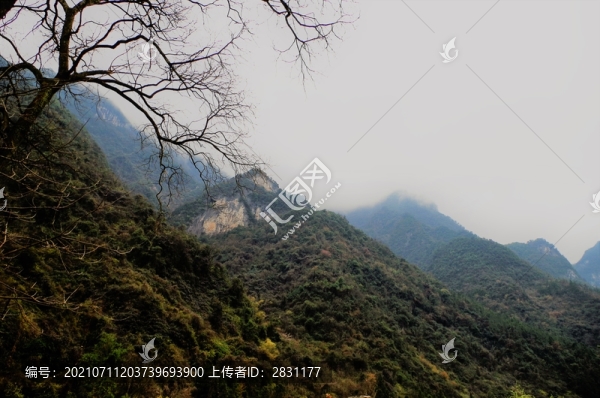 湖北神農(nóng)架