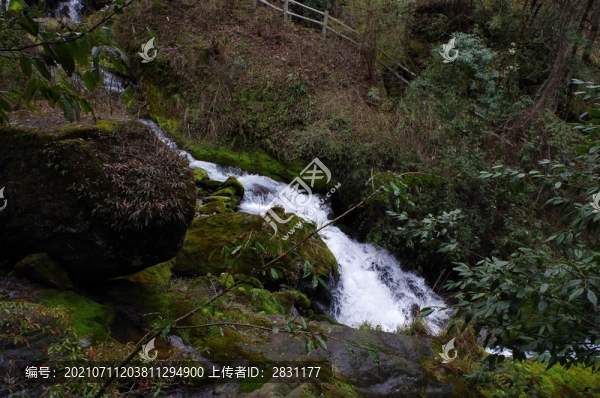 湖北神農(nóng)架