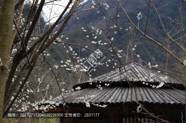 湖北神農(nóng)架