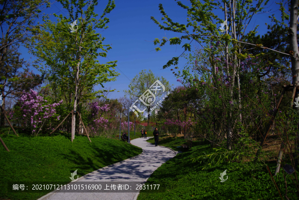 北京廣陽谷城市森林公園