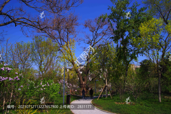北京廣陽谷城市森林公園